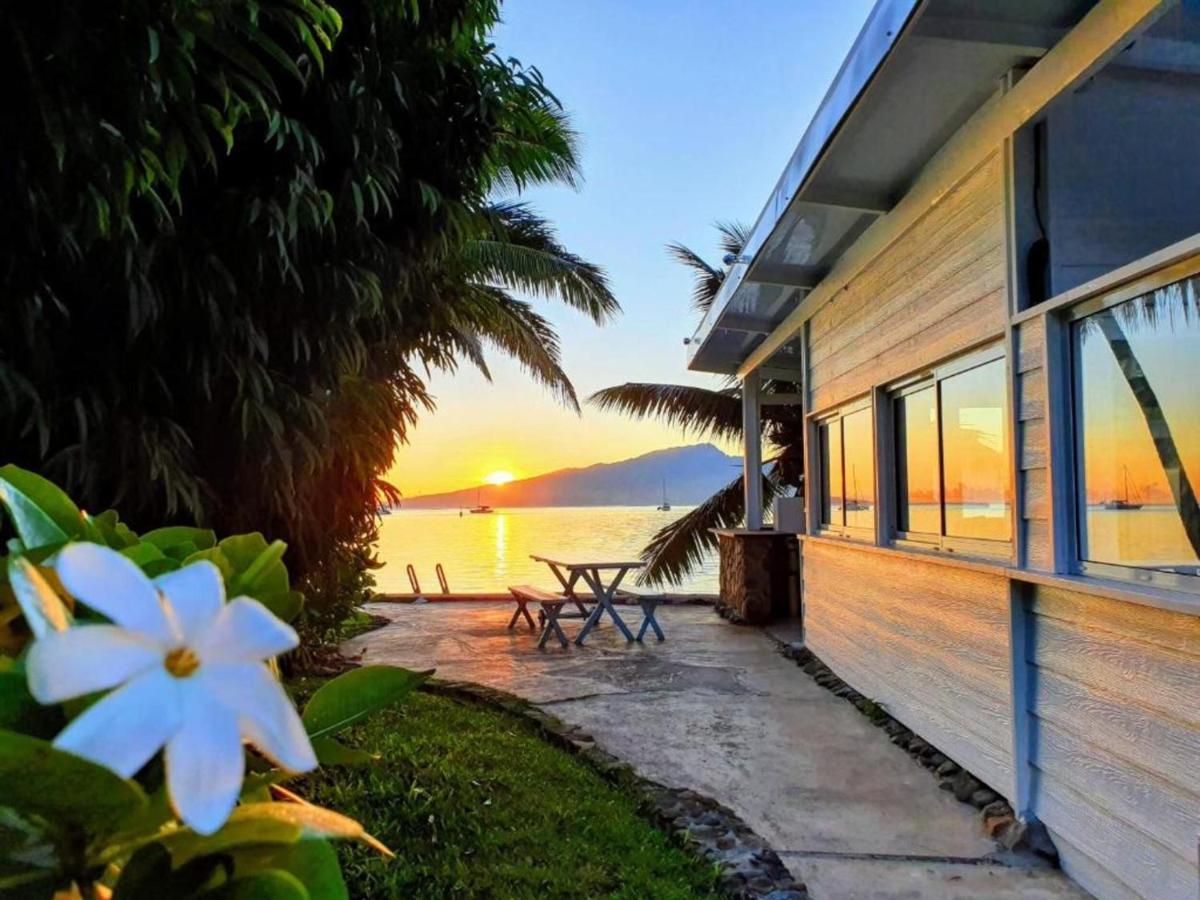 MOOREA - Bungalow Chez Papou Afareaitu Extérieur photo